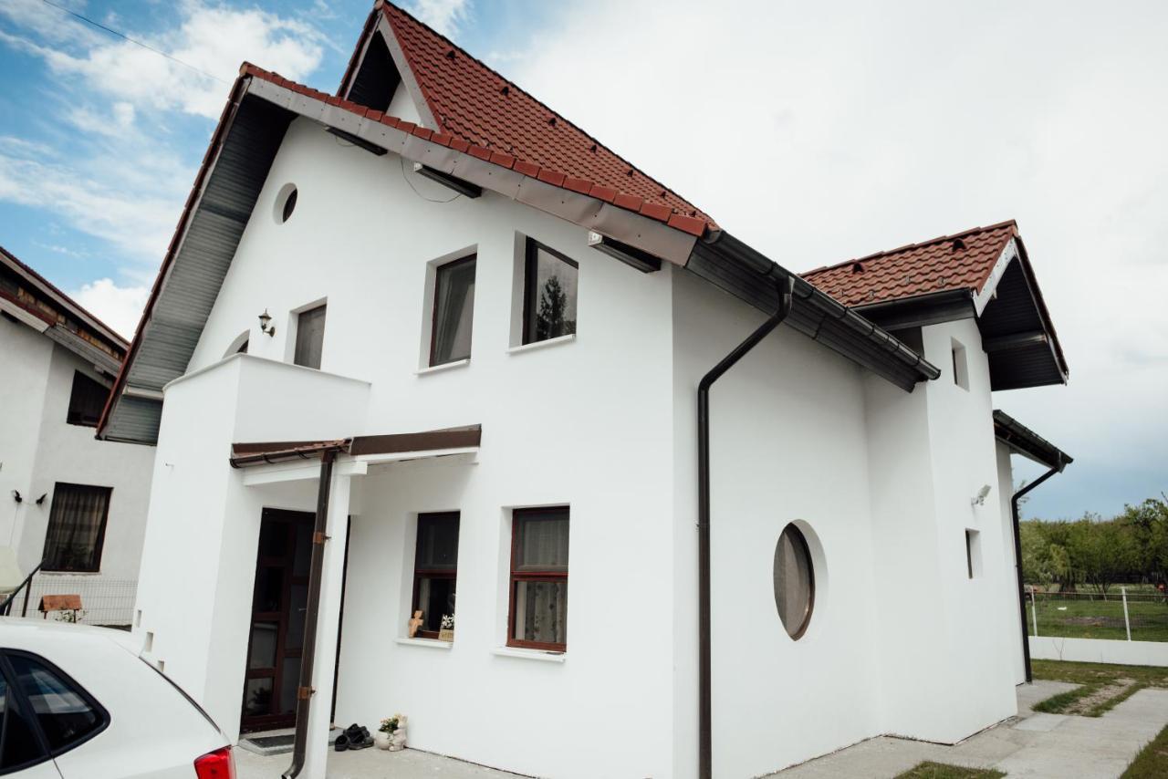 Autentic Adorabil Apartment Albeştii Pământeni Exterior foto