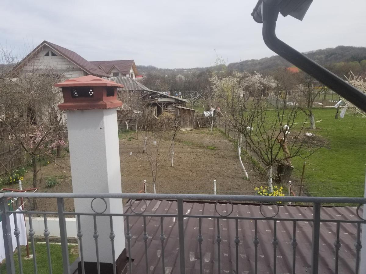 Autentic Adorabil Apartment Albeştii Pământeni Exterior foto