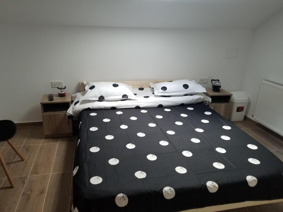 Autentic Adorabil Apartment Albeştii Pământeni Exterior foto