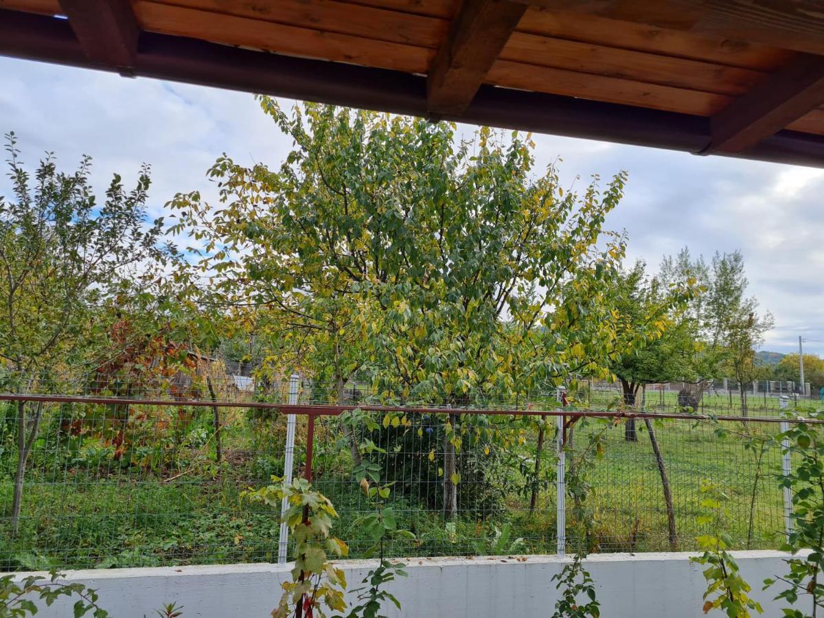 Autentic Adorabil Apartment Albeştii Pământeni Exterior foto